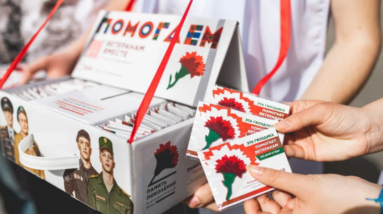 В Воронежской области стартовала всероссийская благотворительная акция «Красная гвоздика»