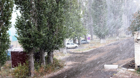 В Терновском районе прошел снегопад