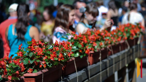 Появилась карта размещения конкурсных экспозиций фестиваля «Город-сад» в Воронеже