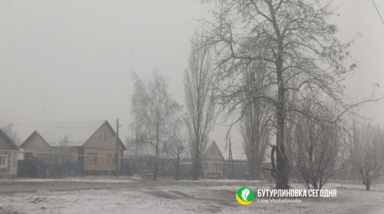 В Воронежскую область пришла зима