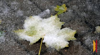 В Воронеже 16 ноября пойдет снег