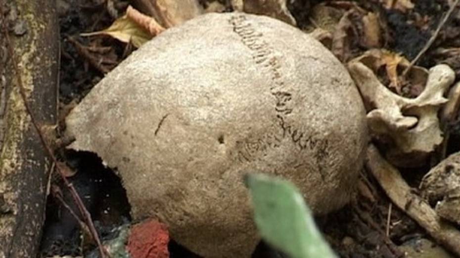 В Воронеже на свалке нашли человеческий череп