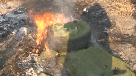 Воронежские наркополицейские сожгли более 25 кг наркотиков