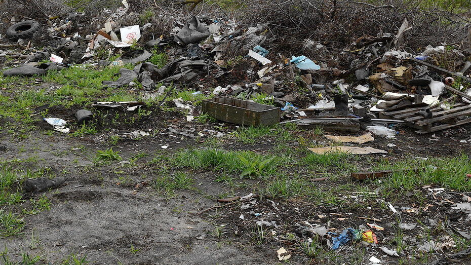 Незаконное захоронение отходов в Воронежской области нашли при помощи спутника