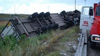 В Воронежской области за сутки случилось 150 ДТП