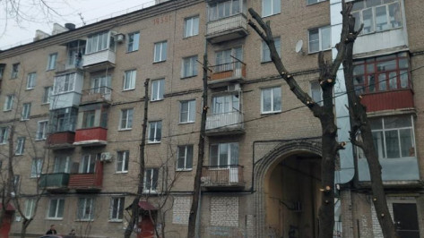 Обрезку деревьев приостановили из-за нарушений в Ленинском районе Воронежа