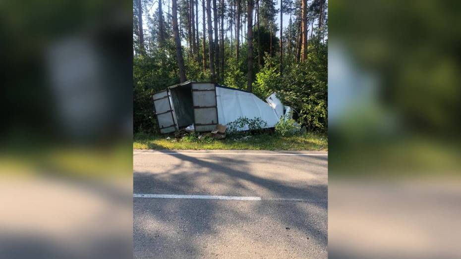 Молодой водитель на грузовой «Газели» врезался в дерево и погиб под Воронежем