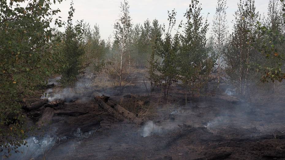 Высокий уровень пожарной опасности сохранился на юге Воронежской области