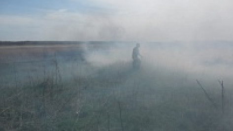 В Подгоренском районе за один день вспыхнуло четыре ландшафтных пожара