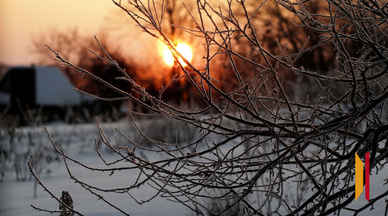 Воронежцев ждут морозные выходные