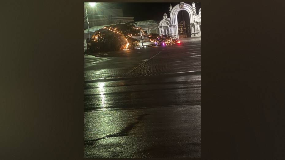 В Бутурлиновке Воронежской области ветер повалил новогоднюю елку