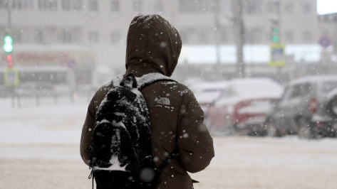 Воронежцев предупредили о сильном мокром снеге и порывистом ветре