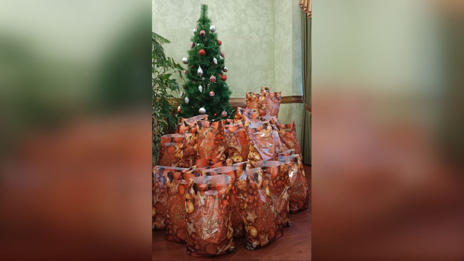 Сотрудники воронежского департамента экологии передали новогодние подарки мобилизованным