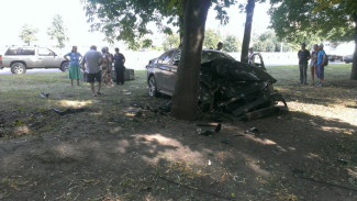 В Воронеже иномарка врезалась в дерево у кафе «Рай»