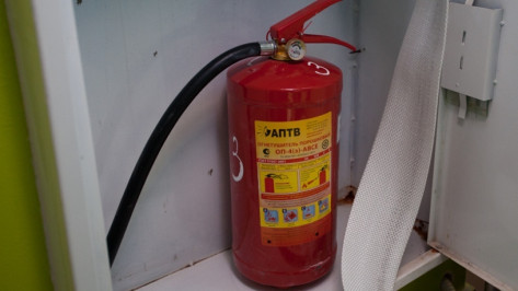 В Воронежской области 7 школ и детсад нарушили пожарную безопасность