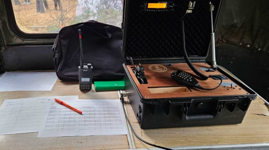 В Воронежской области за месяц мертвыми нашли 7 пропавших