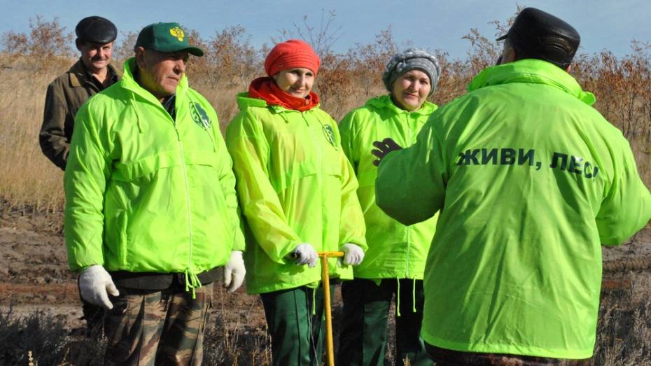 В Лискинском районе завершена акция «Живи, лес!» 