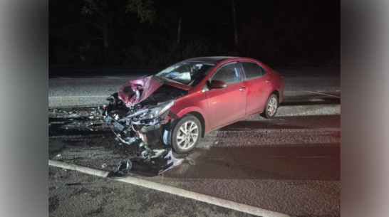 Ребенок и две женщины пострадали при столкновении иномарок на трассе под Воронежем