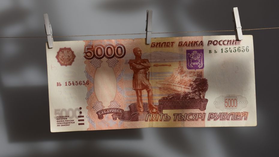 Центробанк обнаружил в Воронежской области 2 финансовые пирамиды