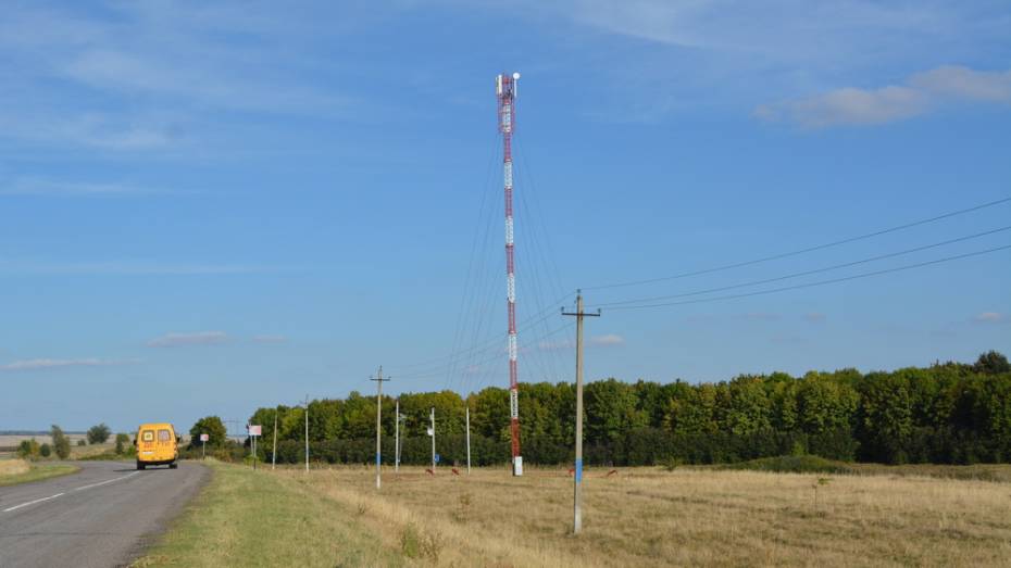 В воробьевском селе Нижний Бык установили вышку сотовой связи