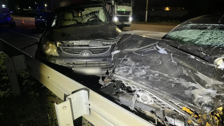 Возбуждено уголовное дело по факту смертельного ДТП под Воронежем, в котором пострадали дети