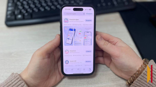 Что воронежцы могут сделать в приложении «Госуслуги Дом»
