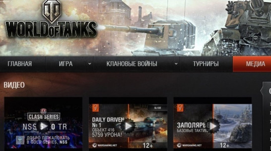 Убивший мать под Воронежем игрок в «World of Tanks» отправится на принудительное лечение
