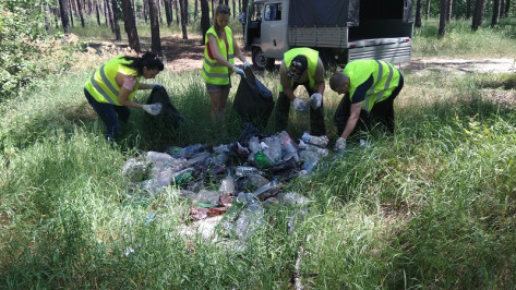 Из лесов Воронежской области за лето вывезли 150 кубометров мусора