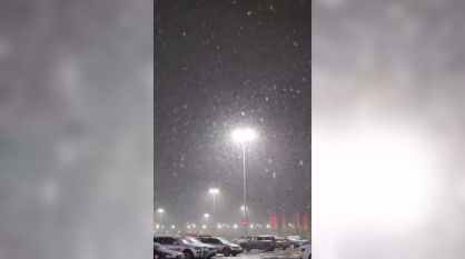 Первый снег в Воронеже сняли на видео