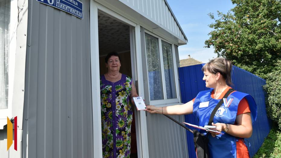 ВЫБОРЫ-2025: как в районах Воронежской области проходит подомовый обход избирателей