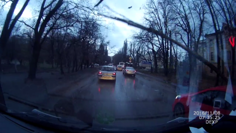 Падение дерева на иномарку в центре Воронежа попало на видео