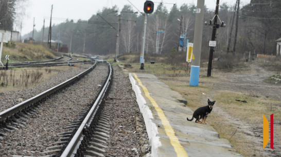 В Воронежской области 5 остановок ЮВЖД получат новые названия