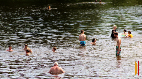 На Воронежскую область надвигается опасная 39-градусная жара