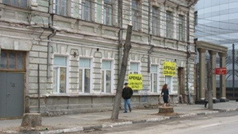 Управление экологии Воронежа оценило ущерб от вырубки двух деревьев в 135 тысяч рублей