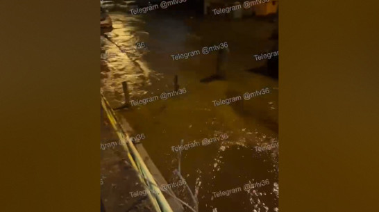 В Воронеже затопило улицу Лидии Рябцевой: видео