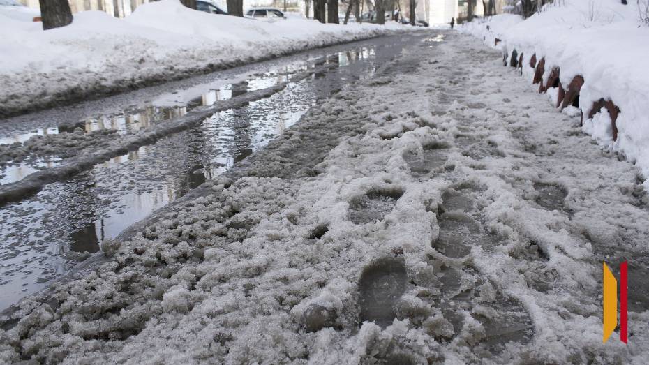 Воронежцев в начале рабочей недели ждут морозы, а в конце – оттепель