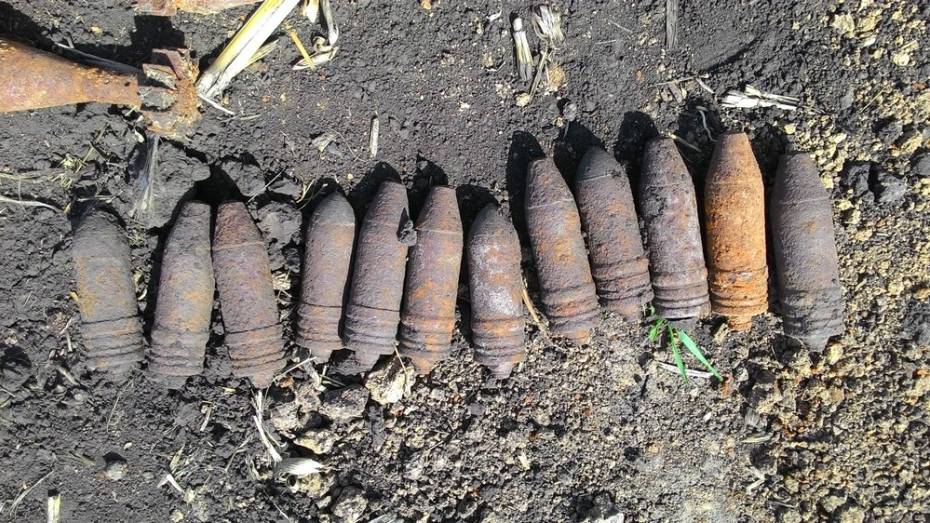 В Рамонском районе уничтожили 48 боеприпасов времен ВОВ