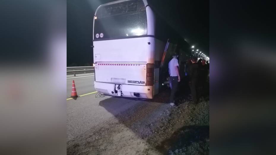 Воронежские автоинспекторы помогли пассажирам и водителю сломавшегося на трассе автобуса