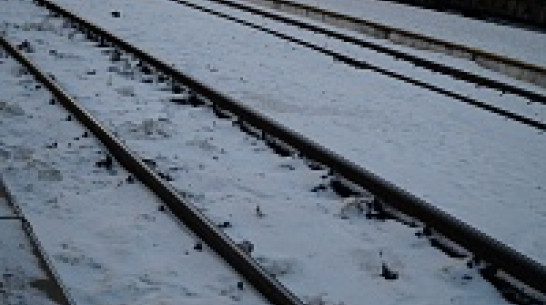 С 20 января в Воронежской области отменят семь электричек