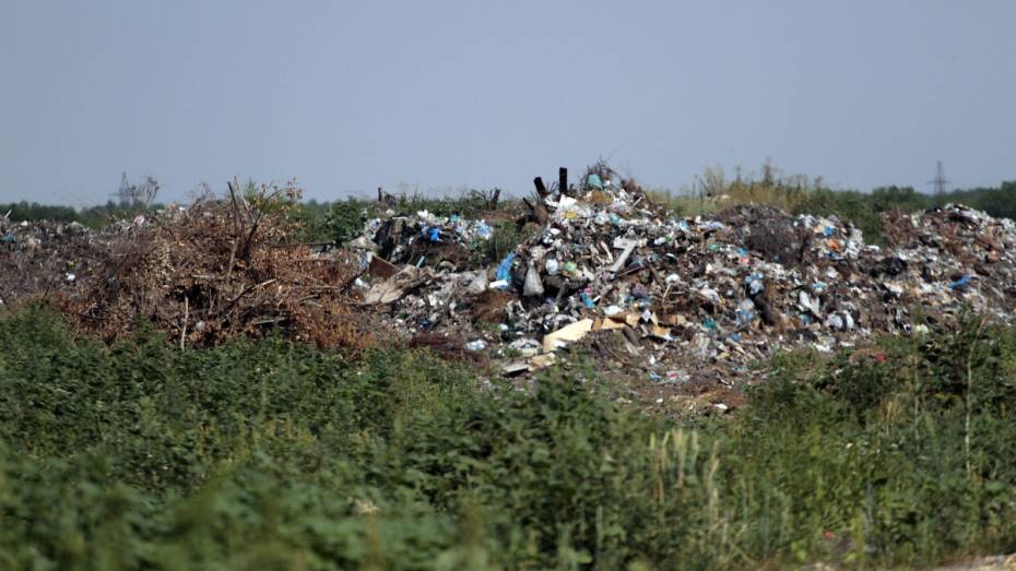 Воронежский губернатор поставил задачу убрать несанкционированные свалки в кратчайшие сроки