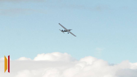 Над одним из районов Воронежской области вечером 15 марта сбили БПЛА