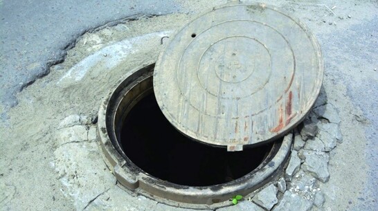 Мертвого козленка обнаружили в канализации в Терновке