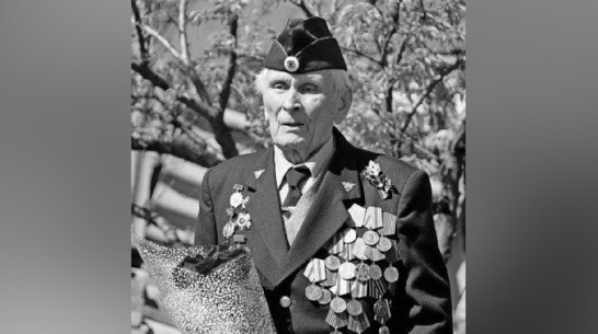 Умер 96-летний почетный ветеран Воронежской области Николай Шведчиков