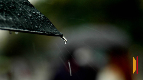 Рабочая неделя для воронежцев начнется с ливней и сильного ветра