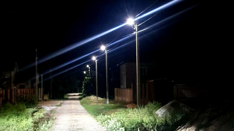 Освещение в 36 воронежских поселениях модернизируют по областной программе