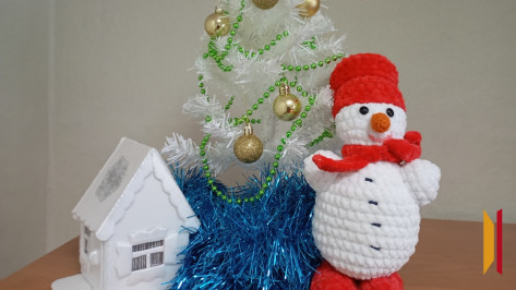 В Грибановке покажут новогоднюю сказку для детей участников СВО