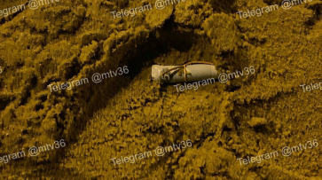 Свернутые перевязанные денежные купюры в песочнице заметили в Воронеже