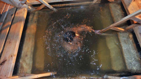 В крещенских купаниях в Воронежской области примут участие более 22 тыс человек