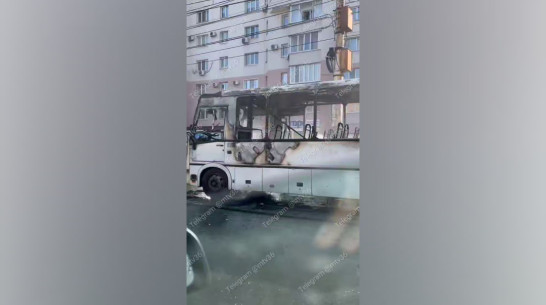Появились подробности пожара со сгоревшим автобусом в Воронеже