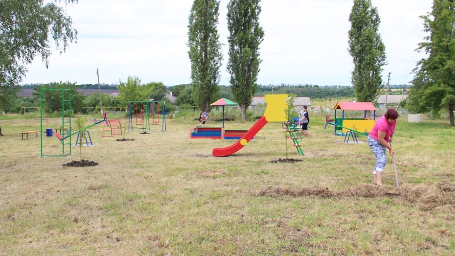 В подгоренском селе общественники установили детскую площадку